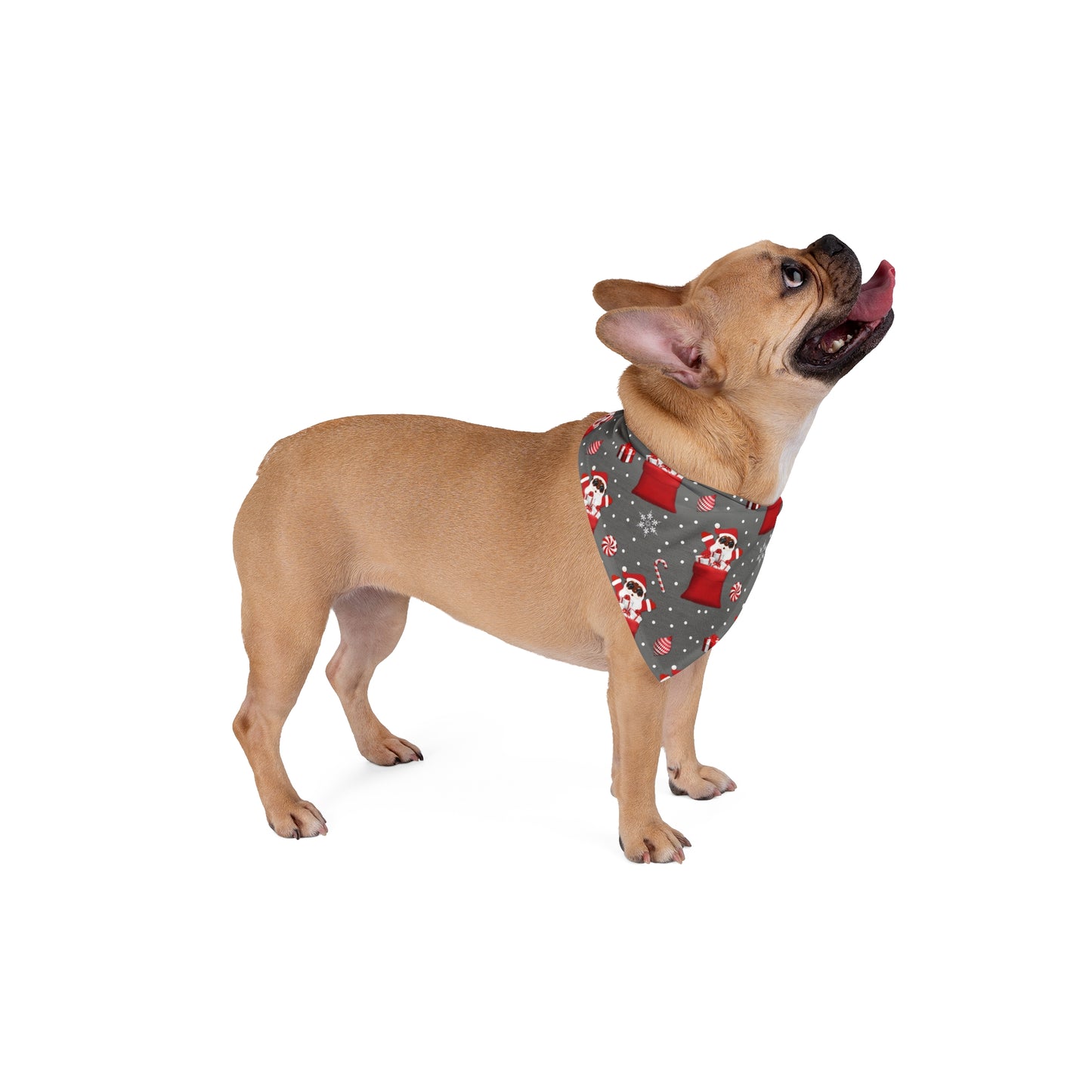 Let your furry friend join in the festive cheer with our Exclusive Christmas Santa Custom Pet Bandana! Dog Christmas gift, Cat Christmas gift, Dog bandana, cat bandana, free shipping, Christmas sale, Christmas Shopping, Holiday Sale, Holiday Deals, Santa Deals, Santa Shopping