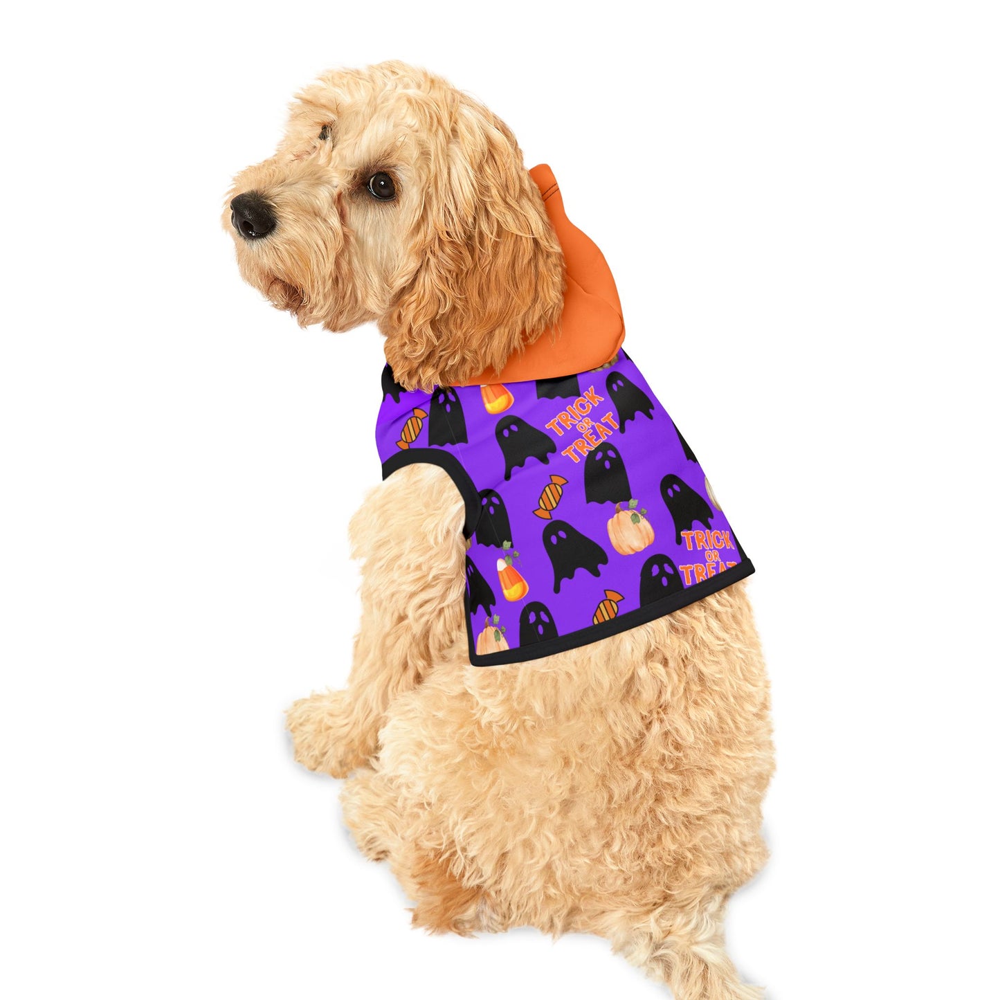 Spooky Halloween Pet Hoodie for Cats & Dogs, Perfect for Trick-or-Treat Fun, Pet Costumes for Halloween Party