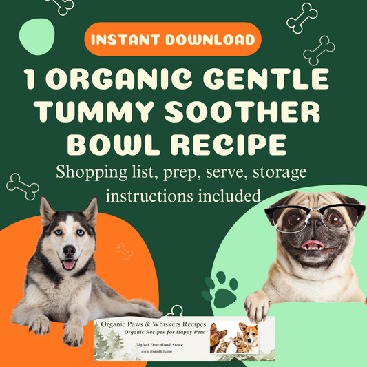 Organic Pet Food Recipe, Organic Gentle Tummy Dog Soother Bowl Recipe | Upset Dog Stomach Remedie | Pet Organic DIY Recipes - Brand63