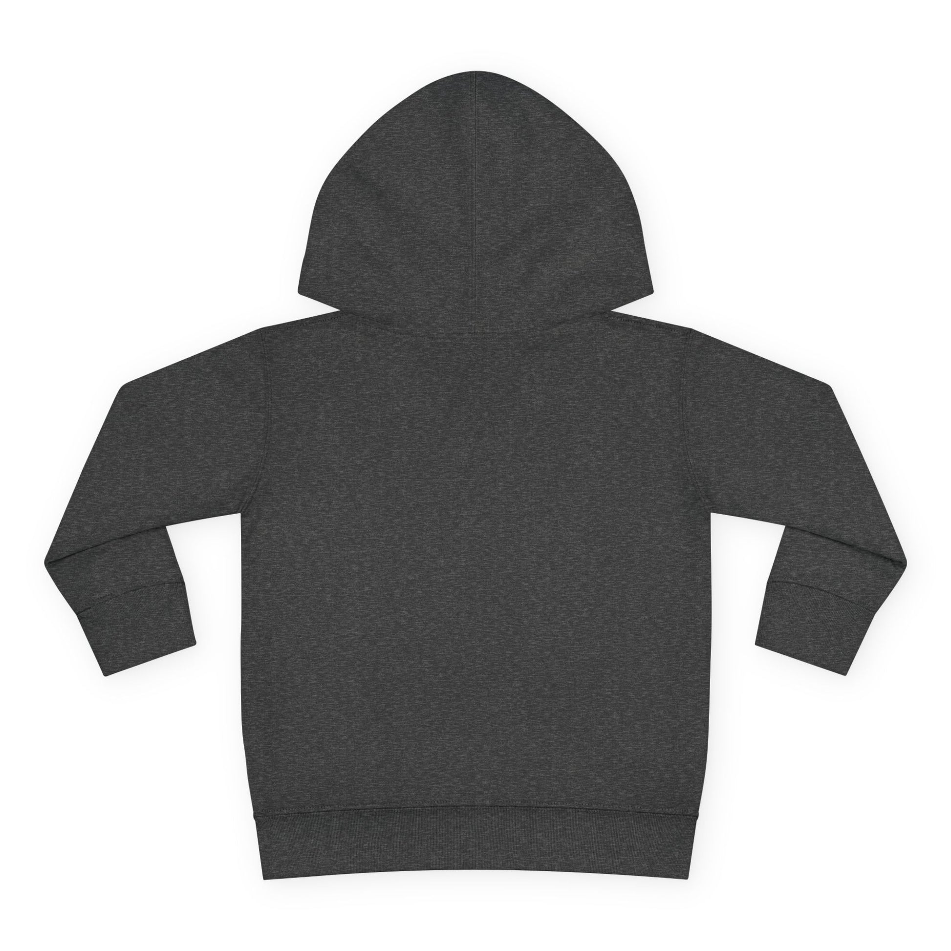 Black History Toddler Hoodie, What we learn from Iconic Black Men and Women. Black Culture