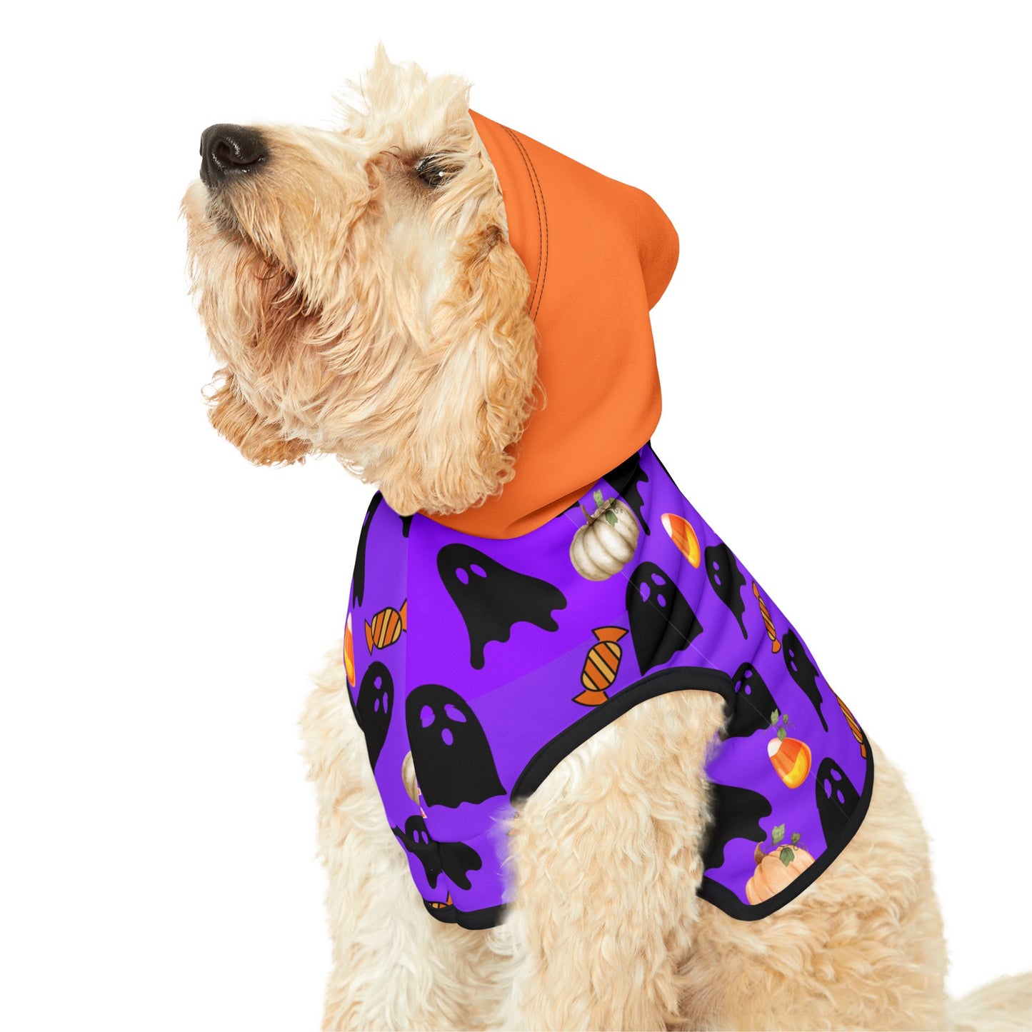 Spooky Halloween Pet Hoodie for Cats & Dogs, Perfect for Trick-or-Treat Fun, Pet Costumes for Halloween Party