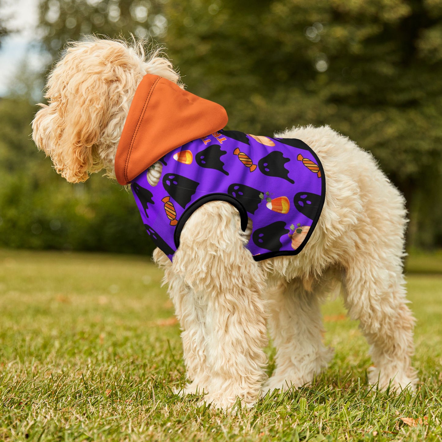 Spooky Halloween Pet Hoodie for Cats & Dogs, Perfect for Trick-or-Treat Fun, Pet Costumes for Halloween Party