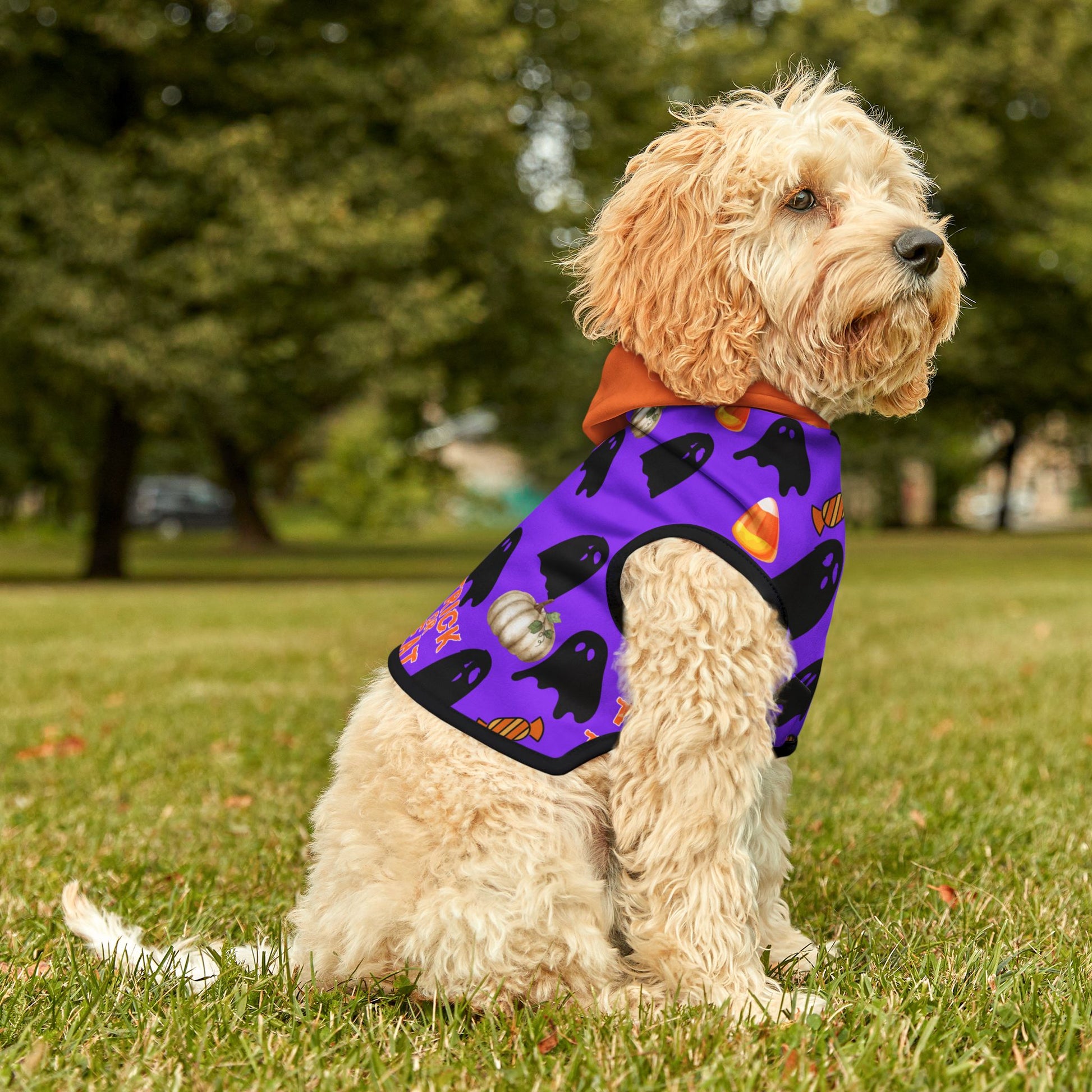 Spooky Halloween Pet Hoodie for Cats & Dogs, Perfect for Trick-or-Treat Fun, Pet Costumes for Halloween Party