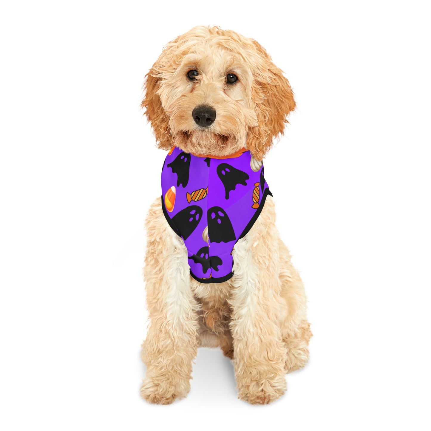 Spooky Halloween Pet Hoodie for Cats & Dogs, Perfect for Trick-or-Treat Fun, Pet Costumes for Halloween Party